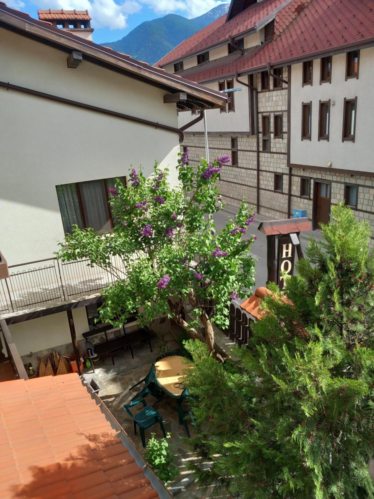 Guest House Skabrin 班斯科 外观 照片